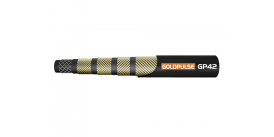 GP42 GOLDPULSE EN856 4SH