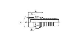 SS12611 BSP MALE 60° CONE SEAT SS12611 BSP MALE 60° CONE SEAT