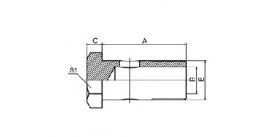SS700M METRIC BOLT (DIN 7643)