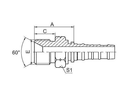12613 BSP MALE 60° CONE SEAL 12613 BSP MALE 60° CONE SEAL