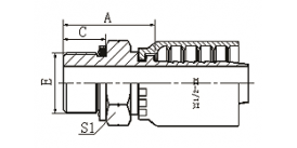 12211Y BSP MALE O-RING SEAL 12211Y BSP MALE O-RING SEAL