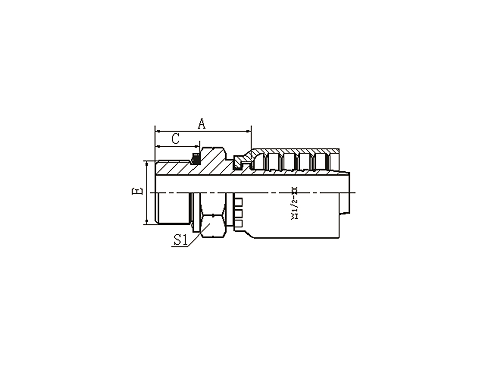 12211Y BSP MALE O-RING SEAL 12211Y BSP MALE O-RING SEAL