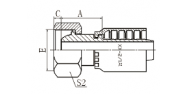 20511CY METRIC FEMALE 24°MUISEAL  20511CY METRIC FEMALE 24°MUISEAL