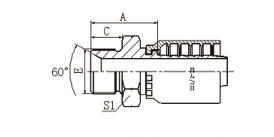 12611AY BSP MALE 60°CONE SEAL  12611AY BSP MALE 60°CONE SEAL