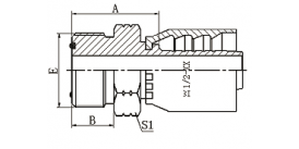 14211Y ORFS MALE FLAT SEAL  14211Y ORFS MALE FLAT SEAL