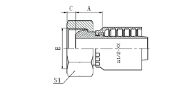 22111Y BSP FEMALE MULTISEAL 22111Y BSP FEMALE MULTISEAL