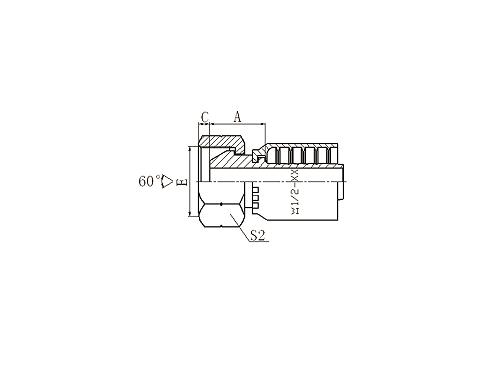 22611Y BSP FEMALE 60°CONE  22611Y BSP FEMALE 60°CONE