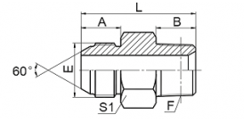 1KN JIS METRIC MALE 60° CONE/NPT MALE  1KN JIS METRIC MALE 60° CONE/NPT MALE