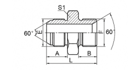 1SB JIS GAS MALE 60° CONE/BSP MALE 60° SEAT 1SB JIS GAS MALE 60° CONE/BSP MALE 60° SEAT