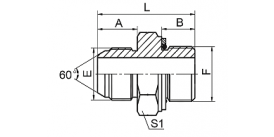 1SG JIS GAS MALE 60° CONE / BSP MALE O-RING 1SG JIS GAS MALE 60° CONE / BSP MALE O-RING
