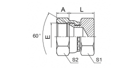 9K JIS METRIC FEMALE 60° CONE PLUG