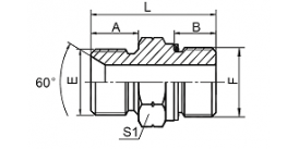1BG BSP MALE DOUBLE USE FOR 60° CONE SEAT OR BONDED SEAL / BSP MALE O-RING 1BG BSP MALE DOUBLE USE FOR 60° CONE SEAT OR BONDED SEAL / BSP MALE O-RING