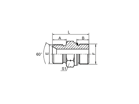 1BG BSP MALE DOUBLE USE FOR 60° CONE SEAT OR BONDED SEAL / BSP MALE O-RING 1BG BSP MALE DOUBLE USE FOR 60° CONE SEAT OR BONDED SEAL / BSP MALE O-RING
