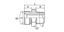 1BN BSP MALE DOUBLE USE FOR 60° CONE SEAT OR BONDED SEAL/NPT MALE 1BN BSP MALE DOUBLE USE FOR 60° CONE SEAT OR BONDED SEAL/NPT MALE