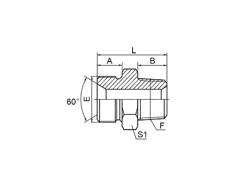 1BN BSP MALE DOUBLE USE FOR 60° CONE SEAT OR BONDED SEAL/NPT MALE 1BN BSP MALE DOUBLE USE FOR 60° CONE SEAT OR BONDED SEAL/NPT MALE