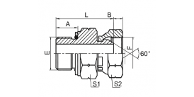 2GB BSP MALE O-RING/BSP FEMALE 60° 2GB BSP MALE O-RING/BSP FEMALE 60°