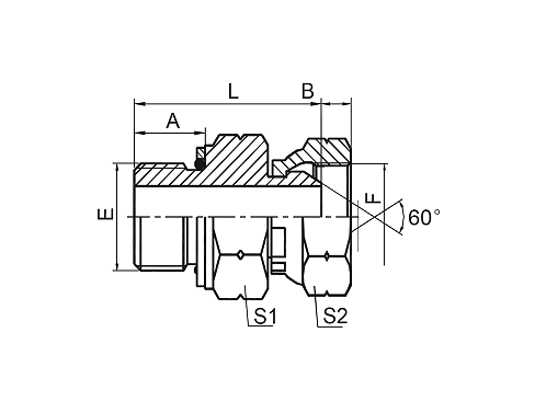 2GB BSP MALE O-RING/BSP FEMALE 60° 2GB BSP MALE O-RING/BSP FEMALE 60°