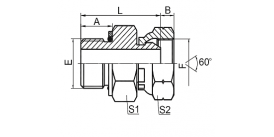 2HB METRIC MALE O-RING/BSPP FEMALE 60° CONE 2HB METRIC MALE O-RING/BSPP FEMALE 60° CONE