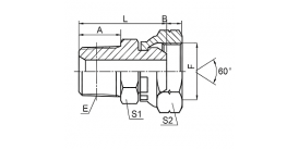 2NB NPT MALE / BSP FEMALE 60° CONE 2NB NPT MALE / BSP FEMALE 60° CONE