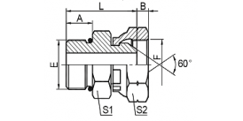2OB SAE O-RING BOSS/BSP FEMALE 60° CONE 2OB SAE O-RING BOSS/BSP FEMALE 60° CONE