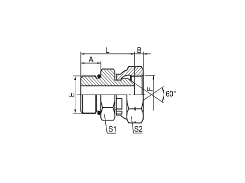2OB SAE O-RING BOSS/BSP FEMALE 60° CONE 2OB SAE O-RING BOSS/BSP FEMALE 60° CONE