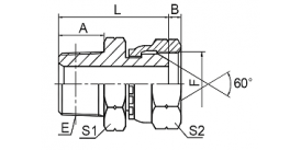 2TB-SP BSPT MALE / BSP FEMALE 60° CONE 2TB-SP BSPT MALE / BSP FEMALE 60° CONE