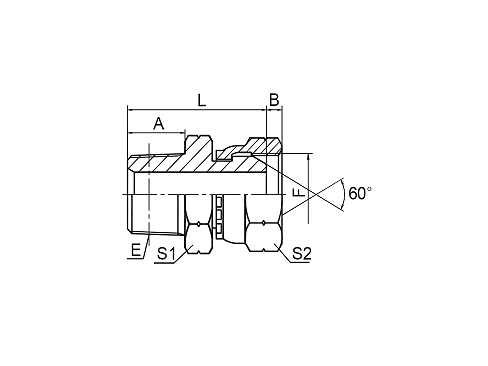 2TB-SP BSPT MALE / BSP FEMALE 60° CONE 2TB-SP BSPT MALE / BSP FEMALE 60° CONE