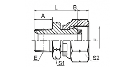 2TB-GSP BSPT MALE / BSP FEMALE PRESSURE GAUGE CONNECTORS 2TB-GSP BSPT MALE / BSP FEMALE PRESSURE GAUGE CONNECTORS