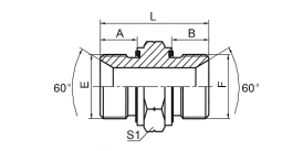 1B-2WD BSP MALE 60° SEAT CAPTIVE SEAL 1B-2WD BSP MALE 60° SEAT CAPTIVE SEAL