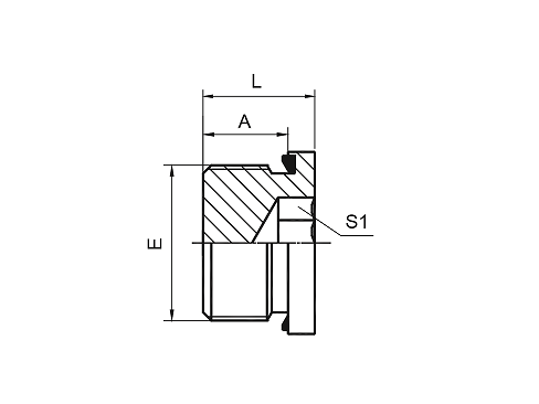 4BN-WD BSP MALE CAPTIVE SEAL HOLLOW HEX PLUG 4BN-WD BSP MALE CAPTIVE SEAL HOLLOW HEX PLUG