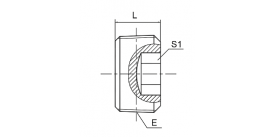 4TN-GM BSPT MALE HOLLOW HEX PLUG 4TN-GM BSPT MALE HOLLOW HEX PLUG