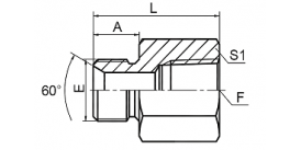 5BN BSP MALE DOUBLE USE FOR 60° CONE SEAT OR BONDED SEAL / NPT FEMALE 5BN BSP MALE DOUBLE USE FOR 60° CONE SEAT OR BONDED SEAL / NPT FEMALE