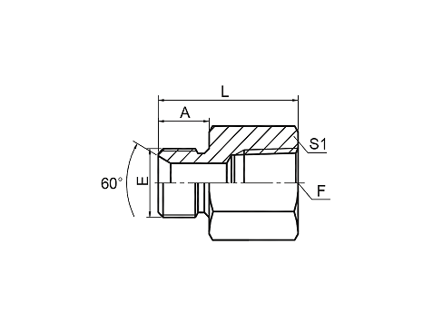 5BN BSP MALE DOUBLE USE FOR 60° CONE SEAT OR BONDED SEAL / NPT FEMALE 5BN BSP MALE DOUBLE USE FOR 60° CONE SEAT OR BONDED SEAL / NPT FEMALE