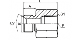 5BT BSP MALE DOUBLE USE FOR 60° CONE SEAT OR BONDED SEAL / BSPT FEMALE 5BT BSP MALE DOUBLE USE FOR 60° CONE SEAT OR BONDED SEAL / BSPT FEMALE