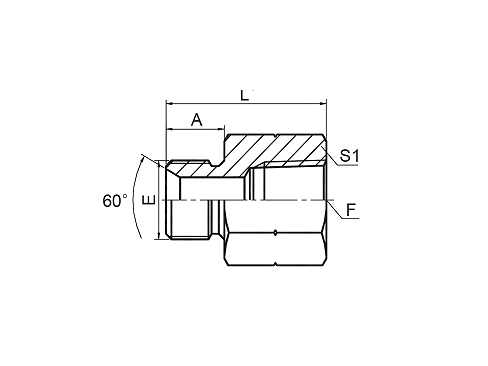 5BT BSP MALE DOUBLE USE FOR 60° CONE SEAT OR BONDED SEAL / BSPT FEMALE 5BT BSP MALE DOUBLE USE FOR 60° CONE SEAT OR BONDED SEAL / BSPT FEMALE