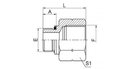 5GB BSP MALE O-RING / BSP FEMALE ISO 1179 5GB BSP MALE O-RING / BSP FEMALE ISO 1179