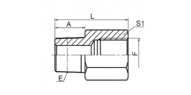 5NB NPT MALE/BSP FEMALE 5NB NPT MALE/BSP FEMALE