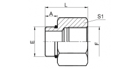 5OB SAE MALE O-RING /BSP FEMALE 5OB SAE MALE O-RING /BSP FEMALE
