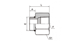 5OT SAE O-RING BOSS/BSPT FEMALE 5OT SAE O-RING BOSS/BSPT FEMALE