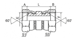 3B BSP FEMALE 60° CONE 3B BSP FEMALE 60° CONE