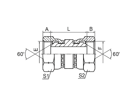 3B BSP FEMALE 60° CONE 3B BSP FEMALE 60° CONE