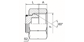 9B BSP FEMALE 60° CONE PLUG 9B BSP FEMALE 60° CONE PLUG
