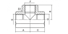 GB-PK BSP FEMALE GB-PK BSP FEMALE