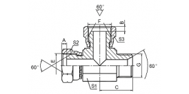 FB BSP FEMALE/BSP FEMALE/BSP MALE FB BSP FEMALE/BSP FEMALE/BSP MALE