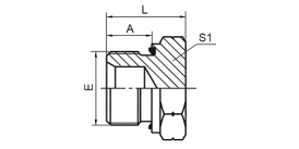 4B-WD BSP MALE CAPTIVE SEAL PLUG 4B-WD BSP MALE CAPTIVE SEAL PLUG