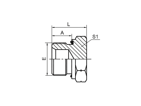 4B-WD BSP MALE CAPTIVE SEAL PLUG 4B-WD BSP MALE CAPTIVE SEAL PLUG