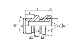 2B BSP MALE DOUBLE USE FOR 60° CONE SEAT OR BONDED SEAL / BSP FEMALE 60° CONE 2B BSP MALE DOUBLE USE FOR 60° CONE SEAT OR BONDED SEAL / BSP FEMALE 60° CONE