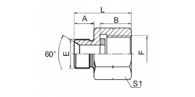 5B-G BSP MALE DOUBLE USE FOR 60° CONE SEAT OR BONDED SEAL / BSP FEMALE PRESSURE GAUGE CONNECTORS 5B-G BSP MALE DOUBLE USE FOR 60° CONE SEAT OR BONDED SEAL / BSP FEMALE PRESSURE GAUGE CONNECTORS