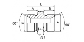 1B BSP MALE DOUBLE USE FOR 60° CONE SEAT OR BONDED SEAL 1B BSP MALE DOUBLE USE FOR 60° CONE SEAT OR BONDED SEAL