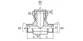 BB BSP MALE 60° SEAT / BSP FEMALE 60° CONE BRANCH TEE BB BSP MALE 60° SEAT / BSP FEMALE 60° CONE BRANCH TEE